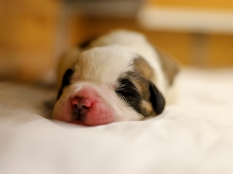 Attention, gros risque de craquer !