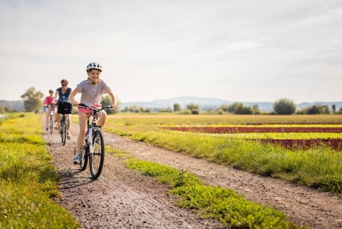 Velo, E-Bike und Tandem in Murten