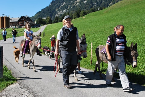 Toggenburger Esel-Wanderungen in Wildhaus