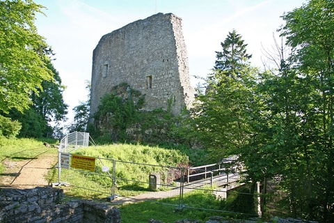 Ruine Farnsburg