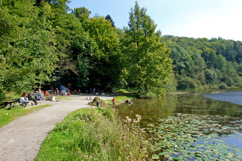 Bodenpfad – Steinhauserwald - gibt es nicht mehr