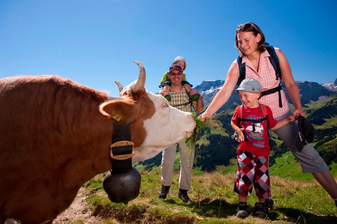 Adelboden