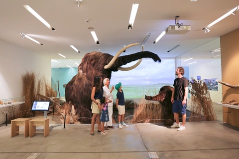 Naturama Aargau