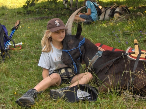 Geissen-Trekking im Gantrischgebiet
