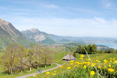 Sommererlebnisse in Aeschi