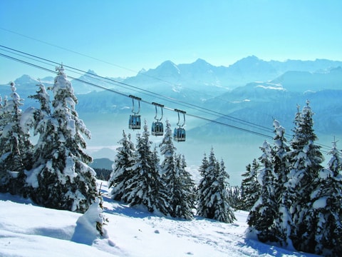 Skigebiete - Beatenberg: Niederhorn und Hohwald