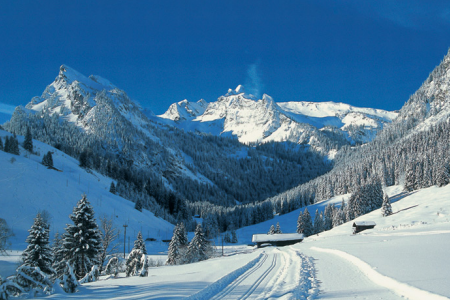 Skigebiete Wiriehorn - Grimmialp und Springenboden