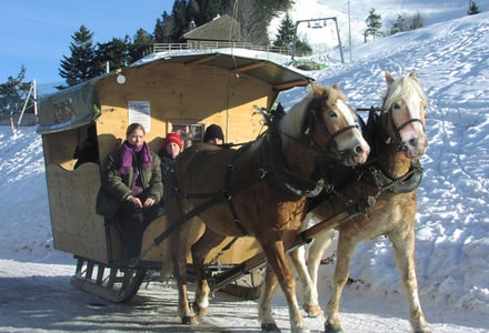 Winterspass in Dallenwil-Wirzweli – Engelbergtal