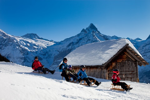 Schlitteln Bussalp-Grindelwald