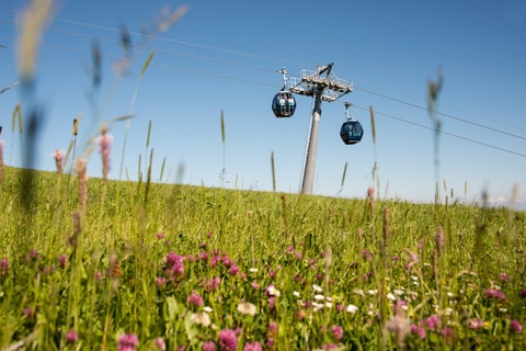 Weissenstein oberhalb Solothurn
