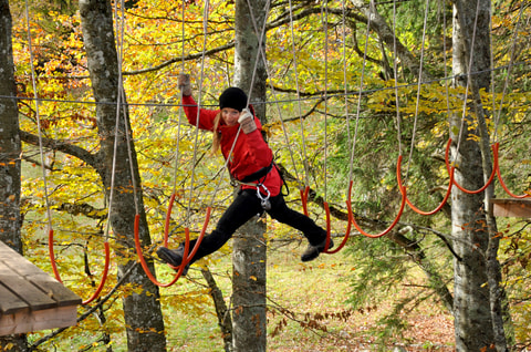 Forest Jump