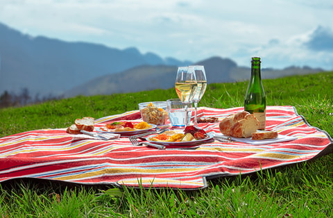 Schlemmer-Picknick im Naturpark Thal