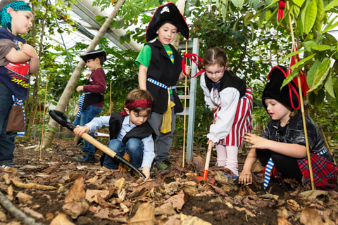 Kindergeburtstag im Tropenhaus Frutigen