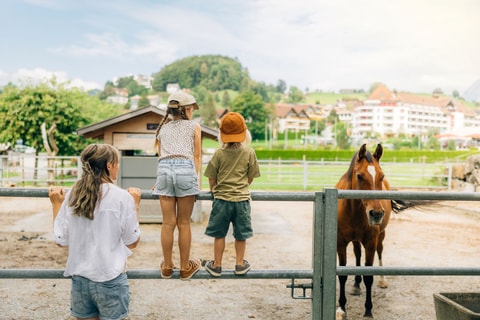 Erlebnishof Fronalp - Swiss Holiday Park