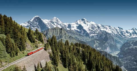 Schynige Platte –  Top of Swiss Tradition