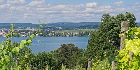 Wy-Fritig auf dem Arenenberg