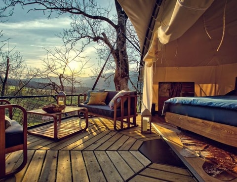 Tree Glamping