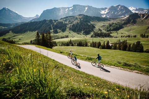 Trottiland Adelboden