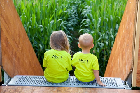 MAILA Maislabyrinth