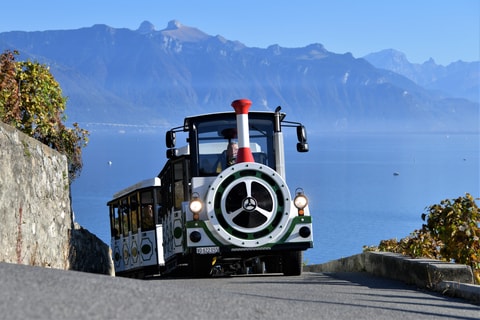 Lavaux Panoramic