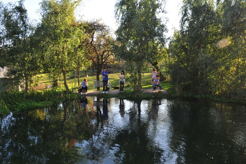 Fischen auf dem Forellenhof Ludiswil