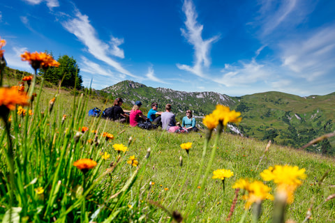 Alpenblumenweg Betelberg