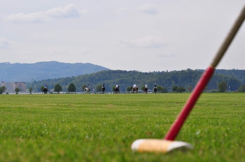 Einführung in den Polosport