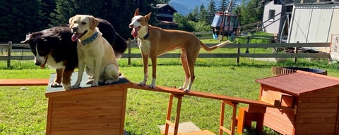 Hundespielplatz Brambrüesch