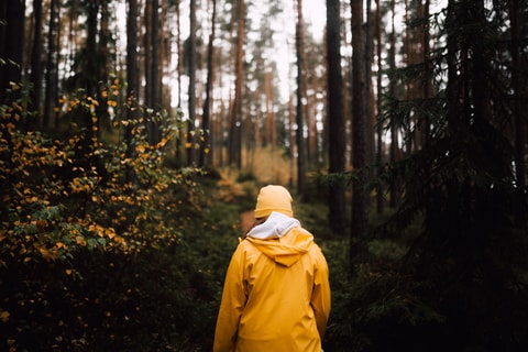 Waldbaden mit dem Waldbüro