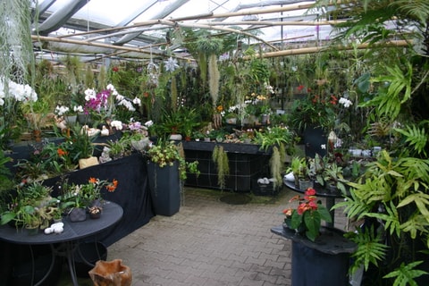 Schweizer Orchideengarten in Sirnach