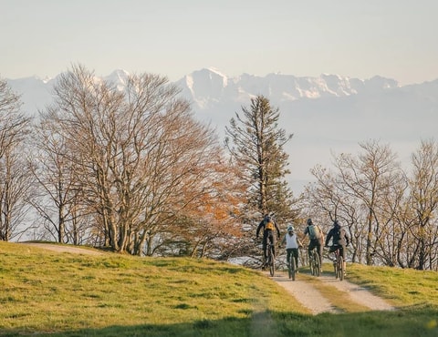 Vialtissimo Biketouren im Jura