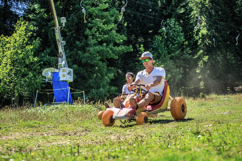 Déval’kart in Morgins