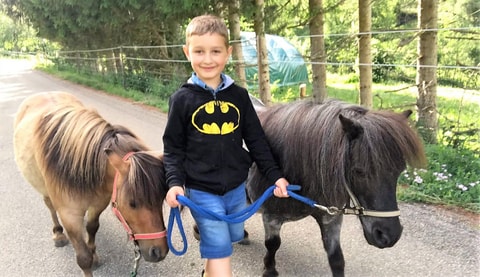 Pony Erlebnis für Kinder
