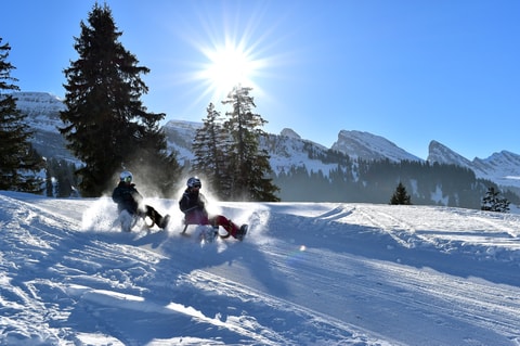 Schlitteln auf dem Chäserrugg