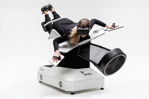Flugsimulator Birdly im Swiss Holiday Park