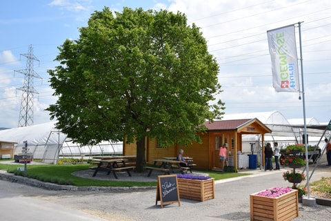 Selbstpflückgarten "Pflück dis Glück"