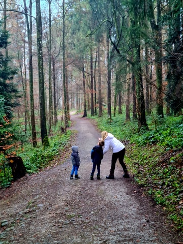 Rätselweg Reidholz