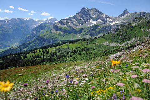 Via Glaralpina