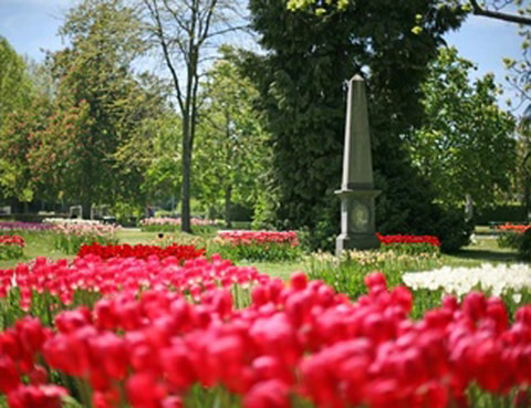 Tulpenfest in Morges