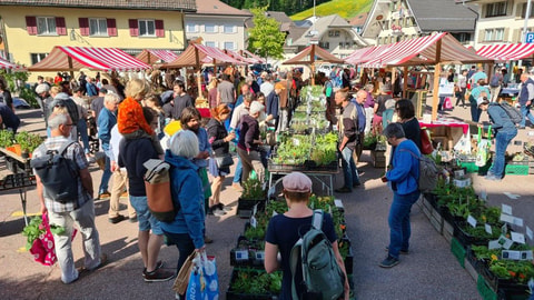 Entlebucher Kräuter- und Wildpflanzenmarkt