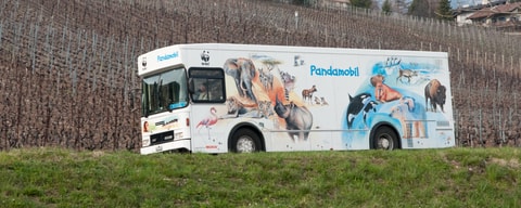 WWF Pandamobil Fest im Tierpark Goldau