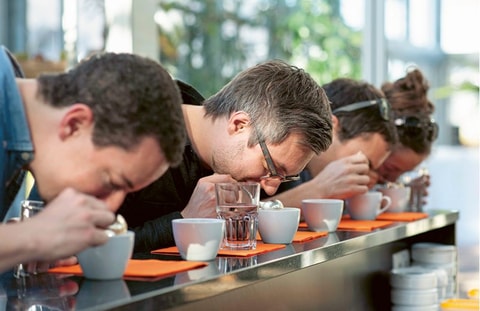 Erlebnisführung Kaffee im Tropenhaus Frutigen