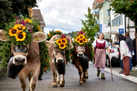 Entlebucher Alpabfahrt in Schüpfheim