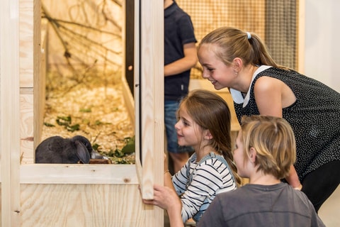 Allerlei rund ums Ei – Ausstellung im Naturmuseum St. G...