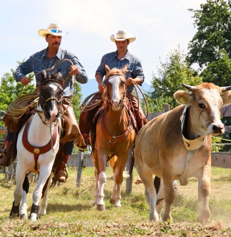 Cowhorse Day Wolfhausen