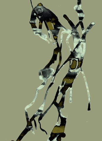 Physical – Cryptical – Digital Art: Körperwelten