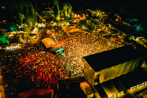 Seaside Festival