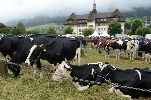 Foire de Chaindon