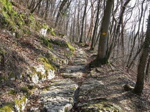 Bözberg – auf alten Pfaden