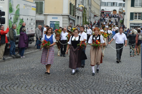 9. Solothurner Chästag